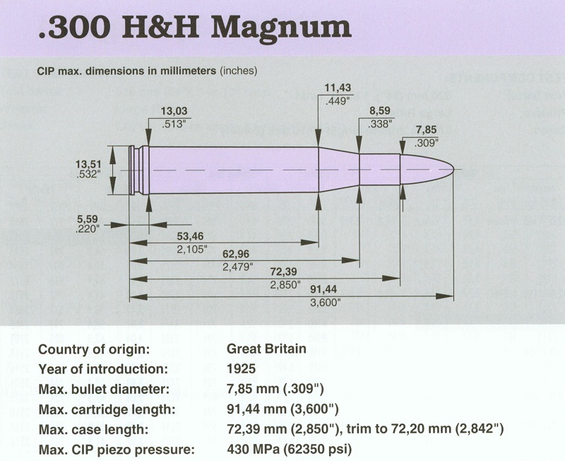 300 H&H Magnum